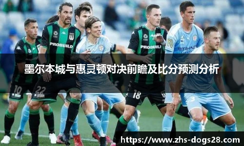 狗子28官网