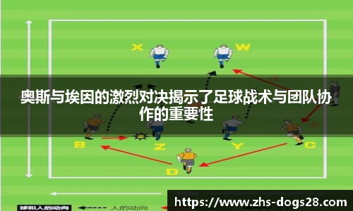 狗子28平台