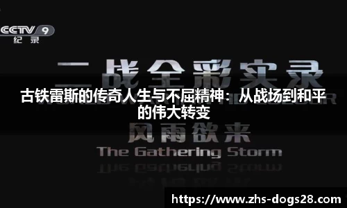 狗子28