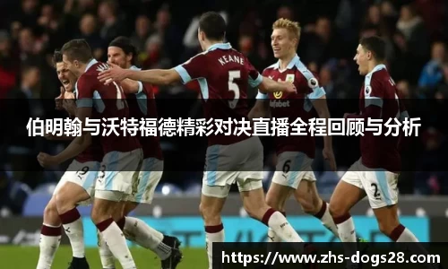 狗子28平台