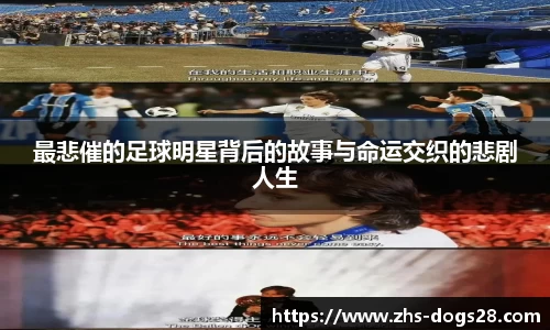 狗子28