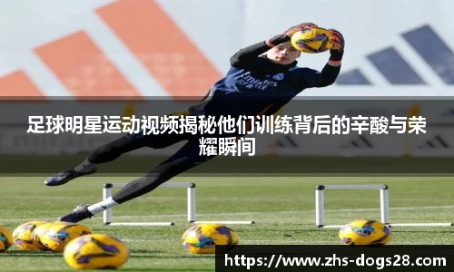 狗子28娱乐