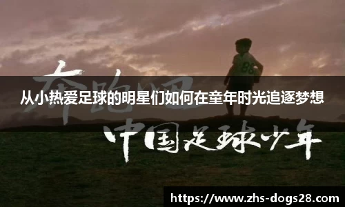 狗子28平台