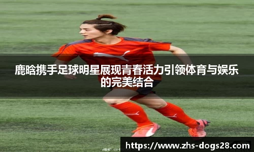 狗子28官网
