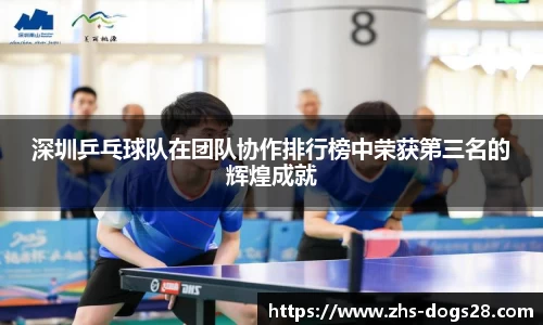 狗子28