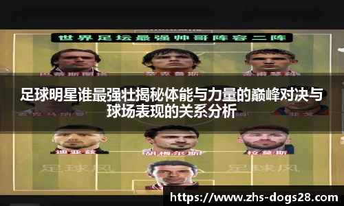 狗子28